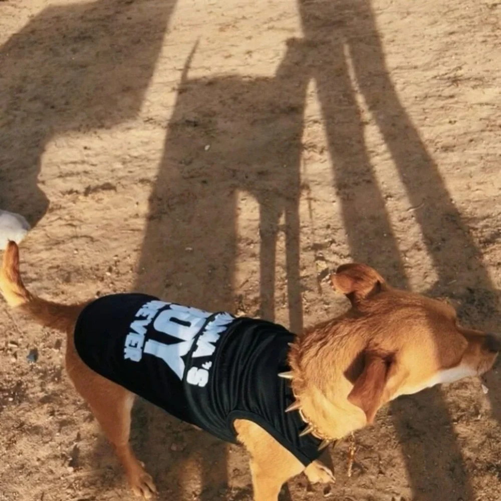Letter graphic pet tank‎